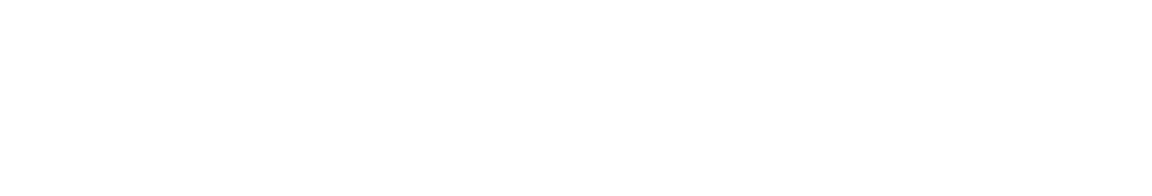 Namsho Logo
