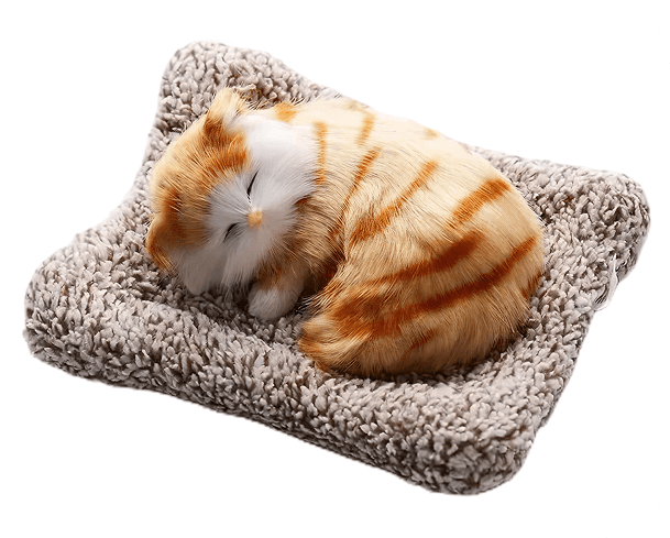 current-img111111111