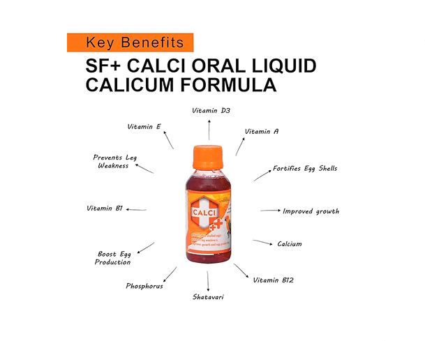 current-img111111111