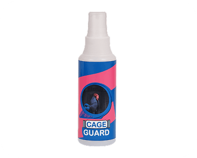 current-img111111111