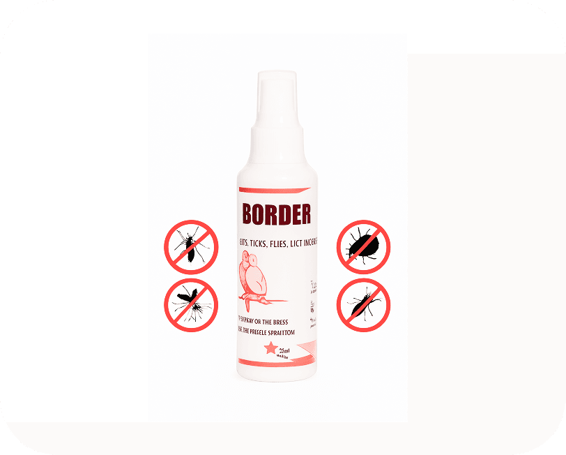 current-img111111111