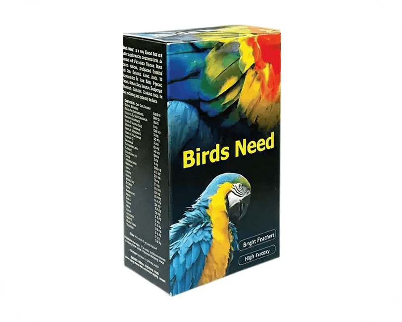 current-img111111111