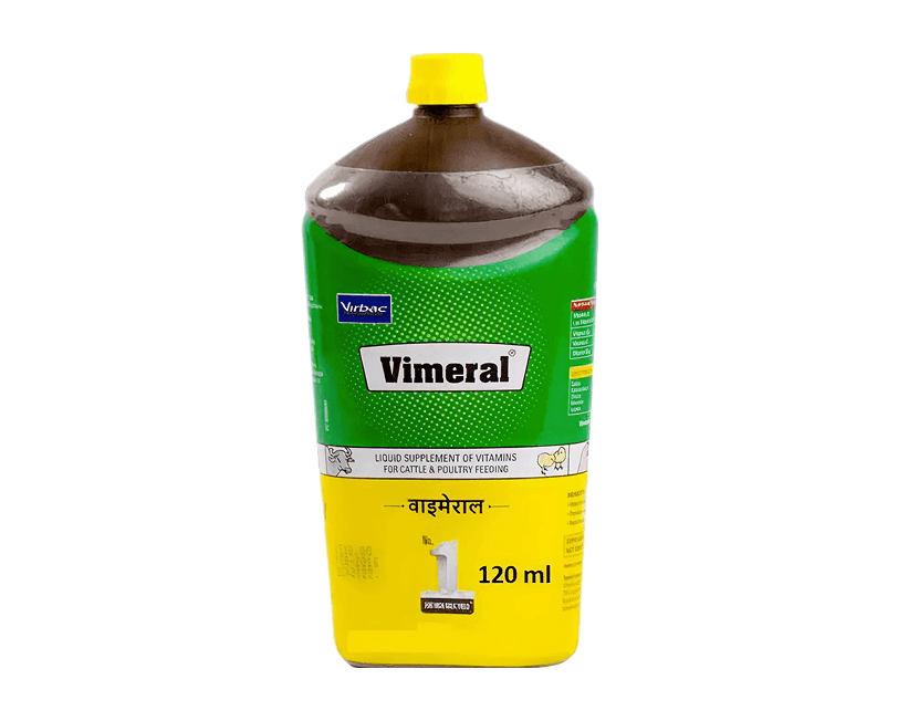 current-img111111111