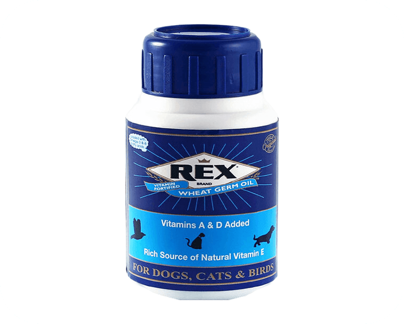 current-img111111111