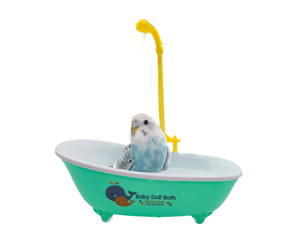 current-img111111111