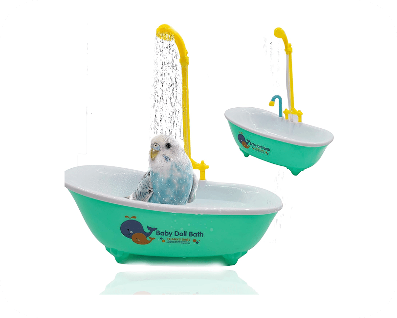 current-img111111111