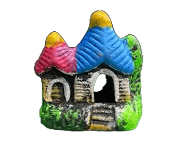 current-img111111111