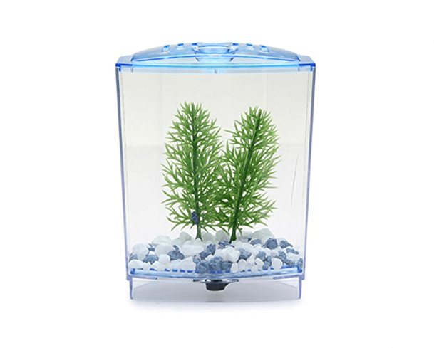 current-img111111111