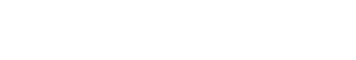 Namsho Logo